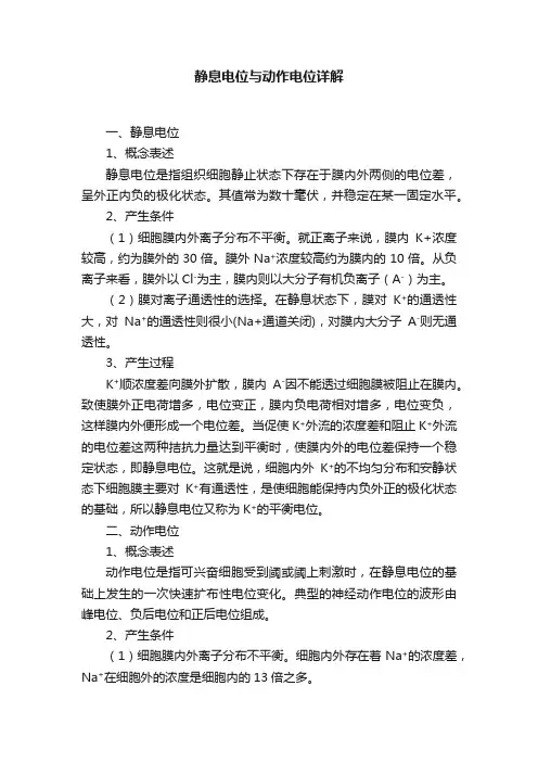 静息电位与动作电位详解