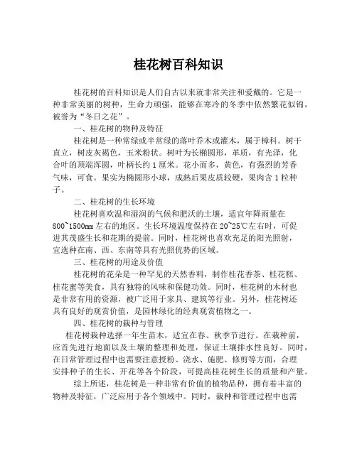 桂花树百科知识
