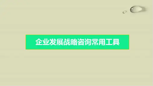 【推荐】企业发展战略咨询常用工具概述59