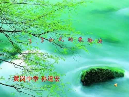 3.3分式的乘法与除法