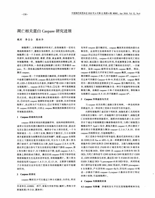 凋亡相关蛋白Caspase研究进展