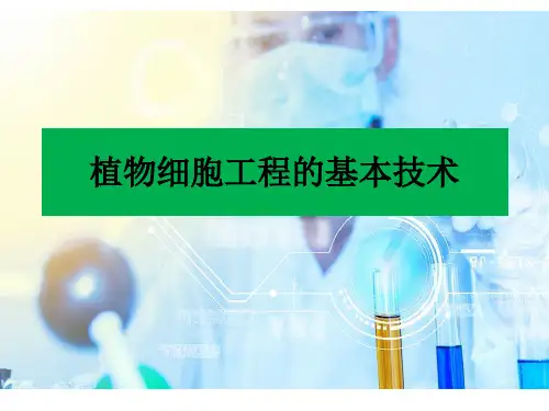 高三一轮复习生物： 植物细胞工程课件