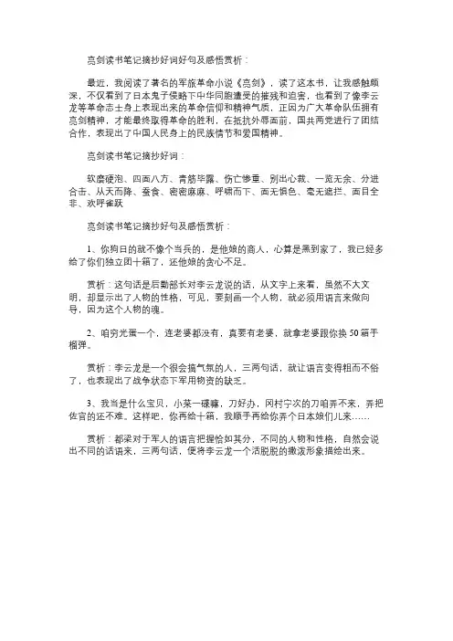 亮剑读书笔记摘抄好词好句及感悟赏析