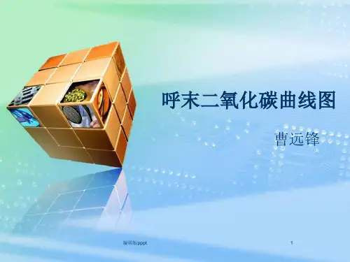 呼末二氧化碳曲线图ppt课件