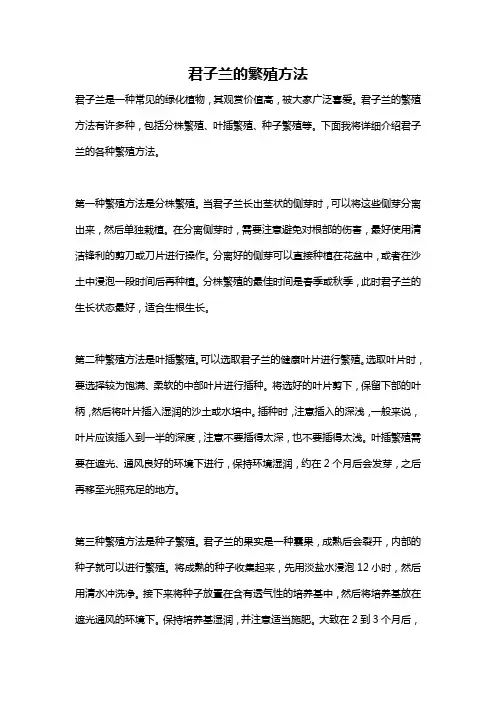 君子兰的繁殖方法