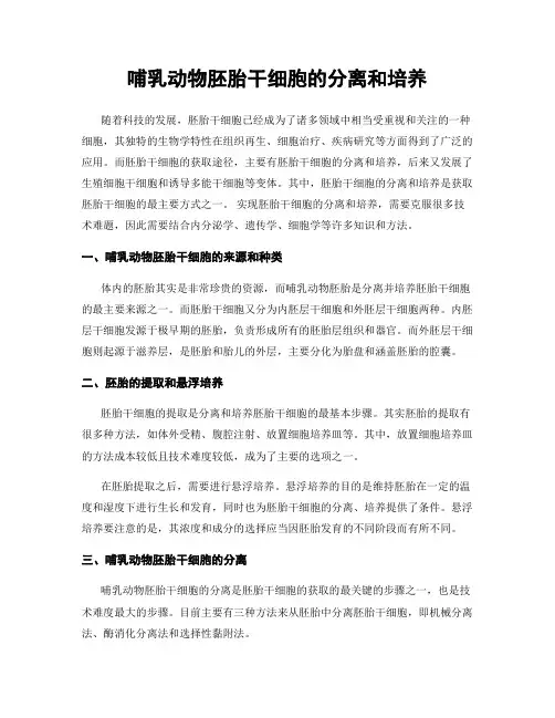 哺乳动物胚胎干细胞的分离和培养