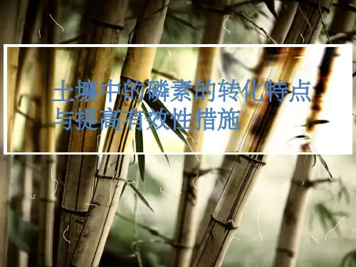 土壤中的磷素的转化特点与提高有效性措施
