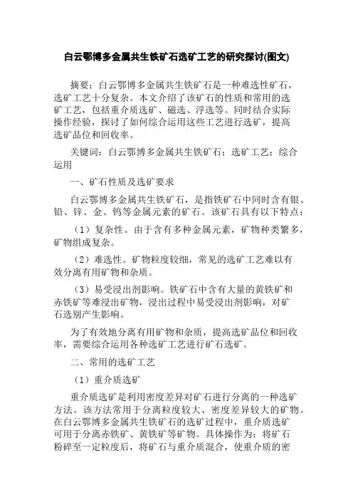 白云鄂博多金属共生铁矿石选矿工艺的研究探讨(图文)