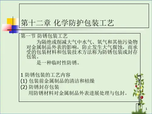 包装工艺学-第十二章-化学防护