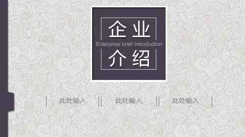 公司介绍产品推广产品宣传企业介绍公司简介