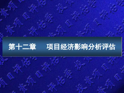 第十二章项目经济影响分析评估《投资项目评估》PPT课件