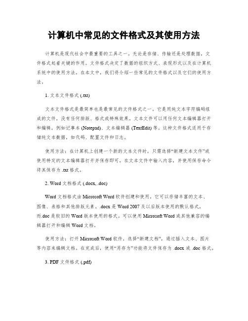 计算机中常见的文件格式及其使用方法