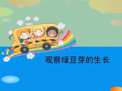 《观察绿豆芽的生长》生物与环境PPT