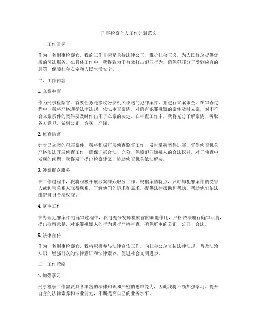 刑事检察个人工作计划范文