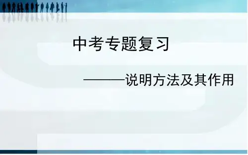 人教版(部编)初中语文《中考专题复习说明方法及其作用》优秀课件(18张)(共18张PPT)