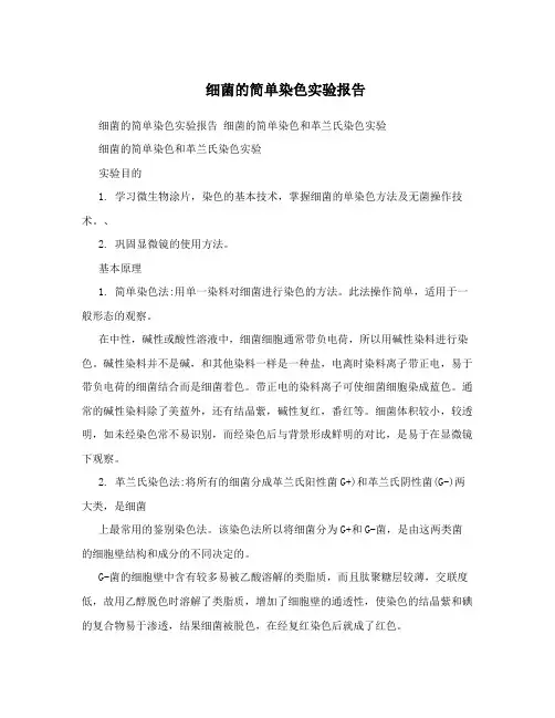 细菌的简单染色实验报告