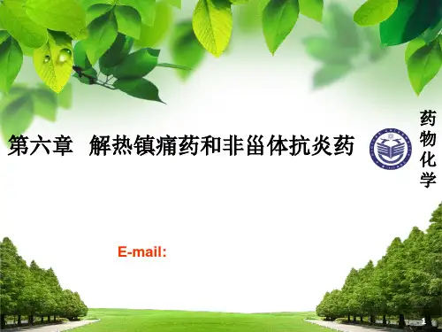 第六章  解热镇痛药和非甾体抗炎药PPT课件