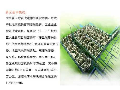 西安大兴新区概况