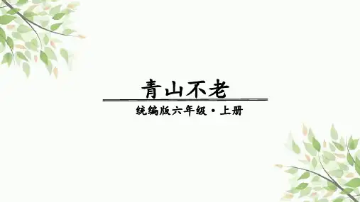 20青山不老课件(共23张PPT).ppt