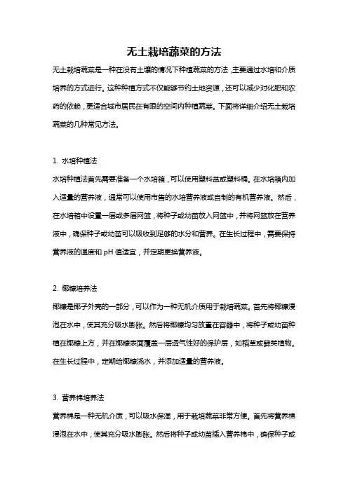 无土栽培蔬菜的方法
