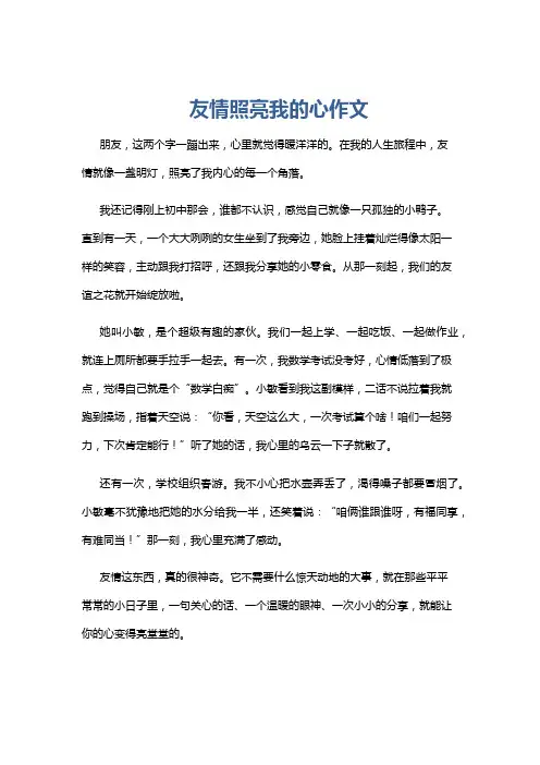 友情照亮我的心作文