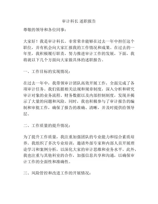 审计科长 述职报告