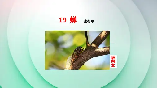 部编版八年级语文上册(人教版)课件20课《蝉》 (共26张PPT)