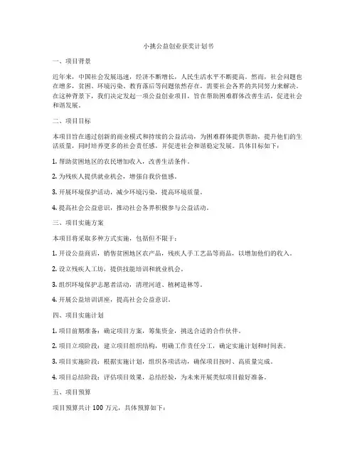 小挑公益创业获奖计划书