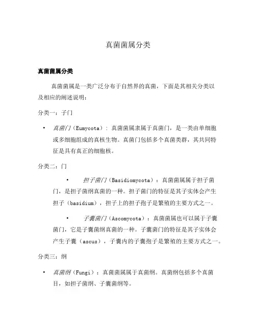真菌菌属分类