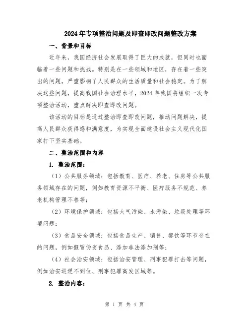 2024年专项整治问题及即查即改问题整改方案