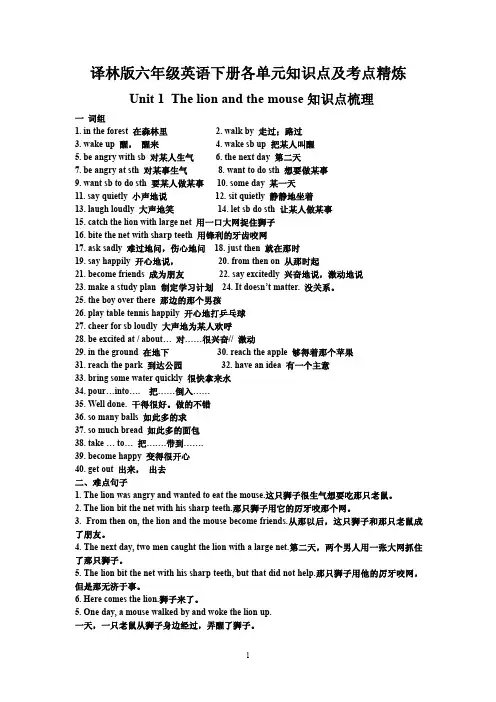 译林版六年级英语下册各单元知识点及考点精炼