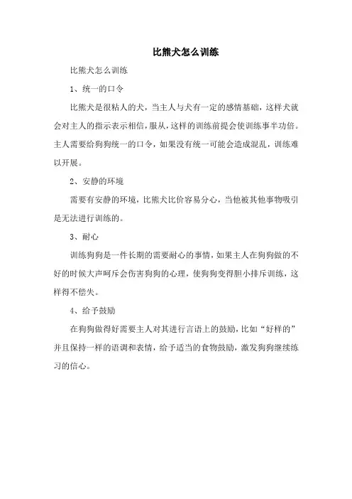 比熊犬怎么训练