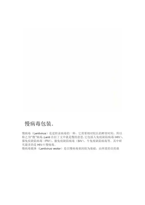 慢病毒包装