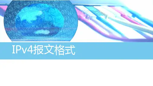 IPv4报文格式