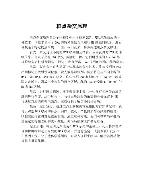 斑点杂交原理