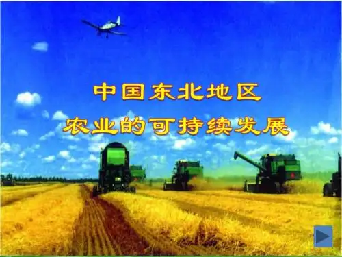 中国东北地区农业的可持续发展