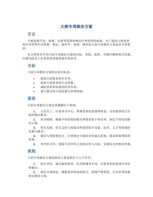 大病专项救治方案