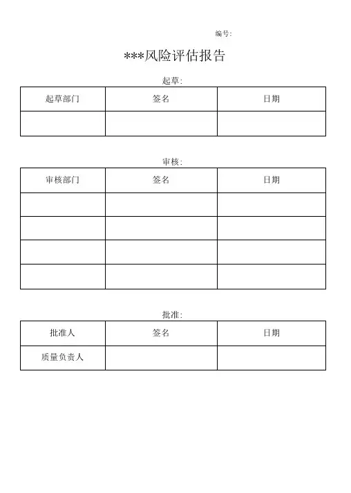 风险评估报告模板