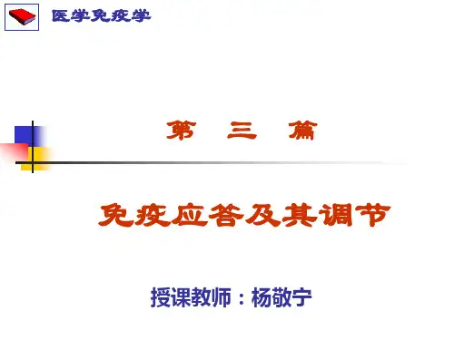 医学免疫学(第八版)免疫应答-2016
