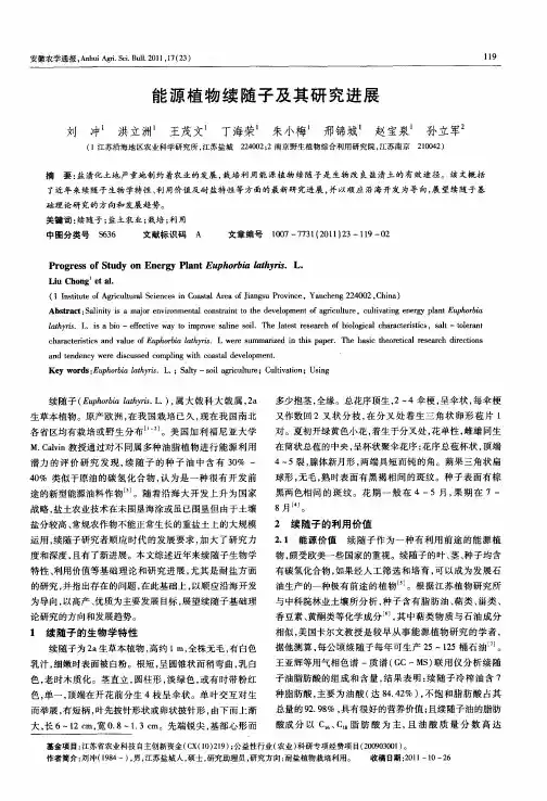 能源植物续随子及其研究进展