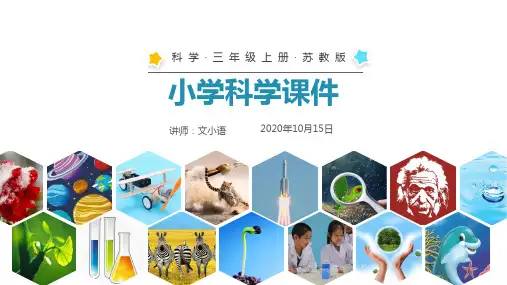 苏教版科学三年级上册10地球上的水-课件(含教案)
