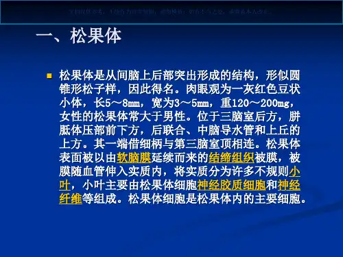 松果体区肿瘤课件