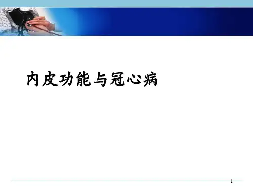 内皮功能PPT精选课件