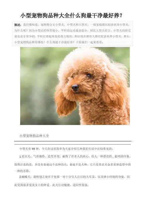 小型宠物狗品种大全什么狗最干净最好养