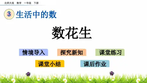 最新北师大版一年级数学下册《数花生》教学课件