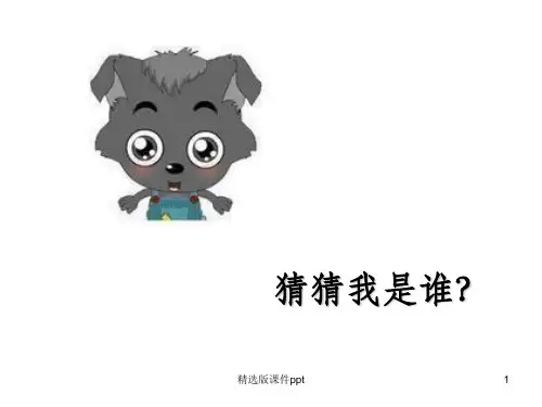 三年级：提示语的位置及标点使用ppt课件
