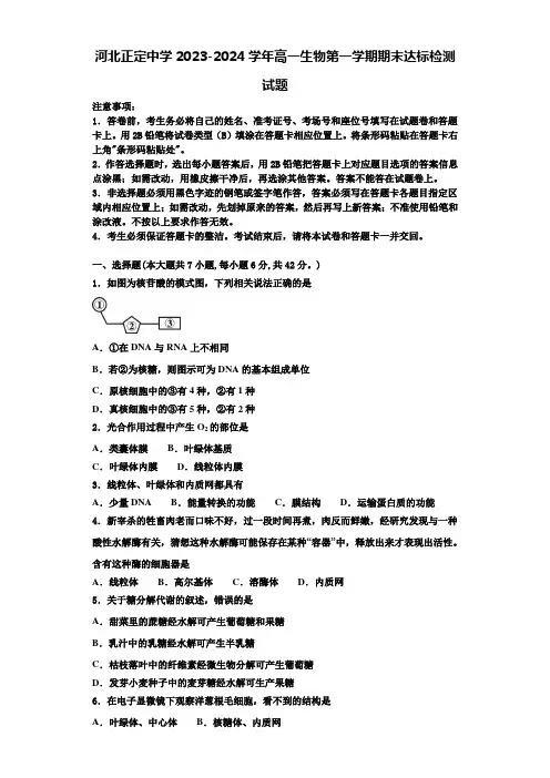 河北正定中学2023-2024学年高一生物第一学期期末达标检测试题含解析
