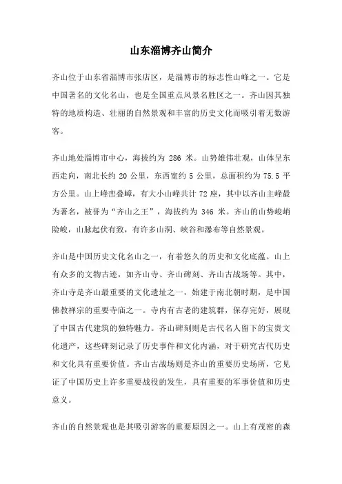 山东淄博齐山简介
