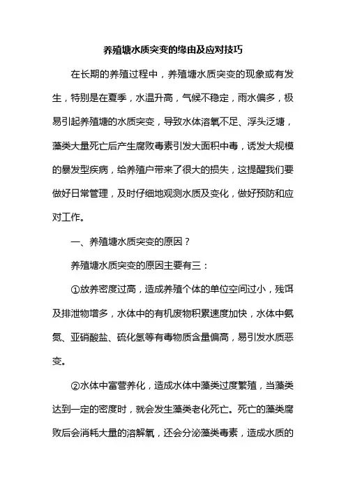养殖塘水质突变的缘由及应对技巧