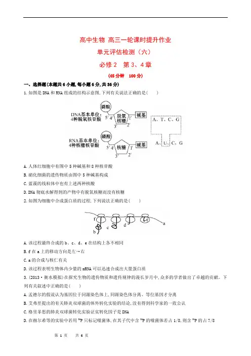 高中生物 高三一轮课时提升作业 单元评估检测(6)